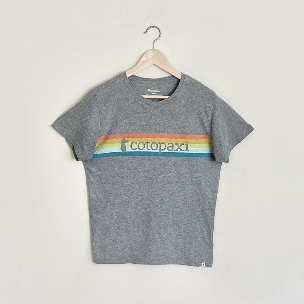 Cotopaxi On The Horizon Retro Llama Stripe Gray T Shirt Men’s size Small